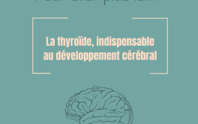 La thyroïde, indispensable au développement cérébral