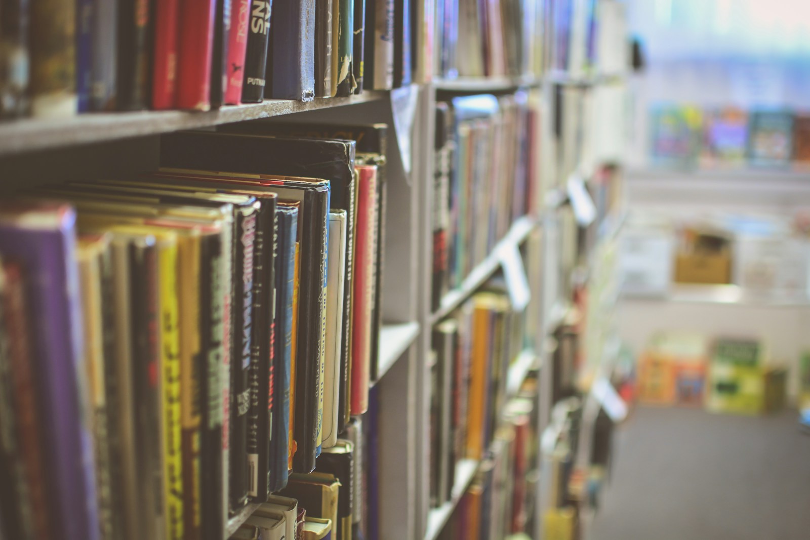 Photo by Jamie Taylor books organized in a shelf